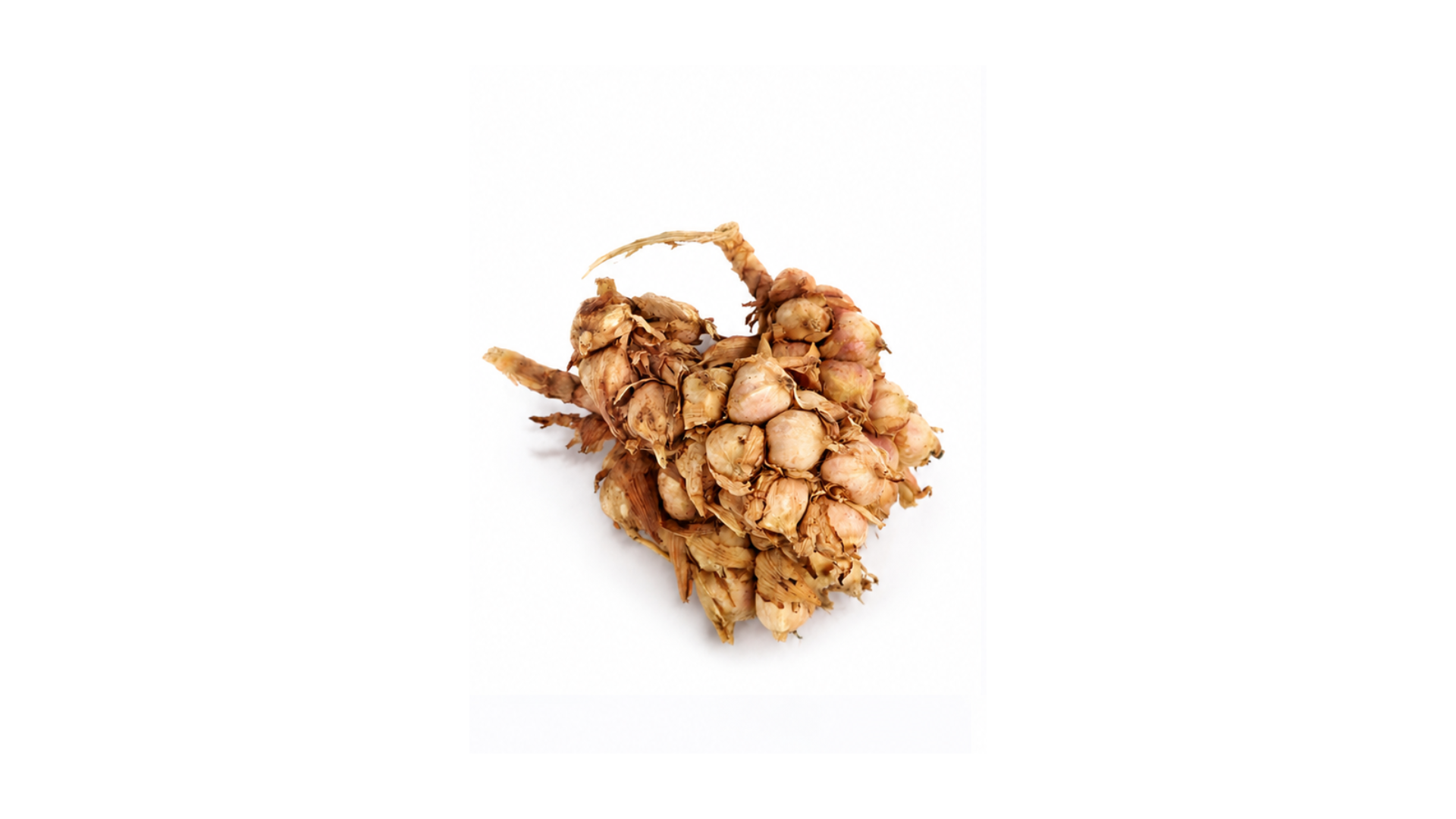 White Cardamom — bulk export